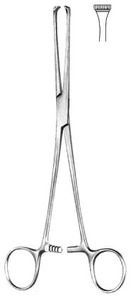 Thomas Allis Tissue Forceps 6x7T 20cm