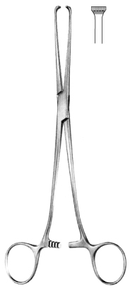 Allis Tissue Forceps 5x6T 20cm