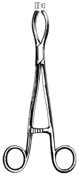 Littlewood Tissue (Moynihans) Forceps 2X3T 19cm