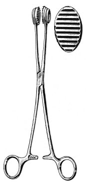 Childs Intestinal Holding Forceps 24cm