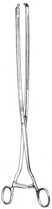 Scudder Intestinal clamp 36cm