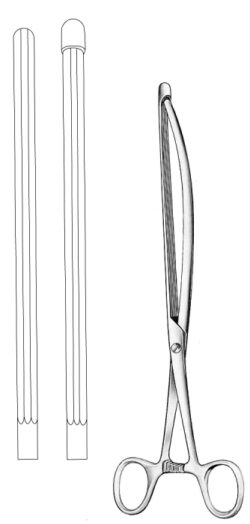 Nussbaum Intestinal clamp