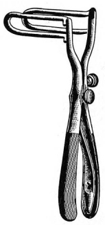 Sims Rectal Speculam 15cm