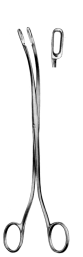 Desjardins Gall Stone Forceps 23cm