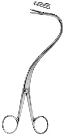 Elsasser Nephrostomy Forceps 20cm