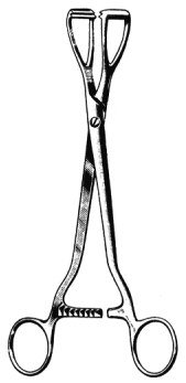 Young Lobe Holding Forceps 20cm