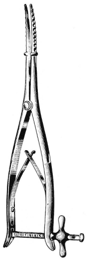 Wylie Uterine Dilator serrated 29cm