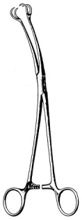 Skene Vulsellum Forceps 2x2 Jaws 23cm