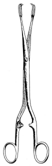 Schroeder Vulsellum Forceps S/J 26cm