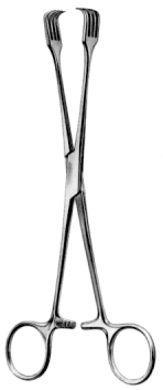 Czerny Organ and Tissue Grasping Forceps 20cm