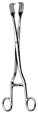 Pratt Vulsellum Forceps 28cm