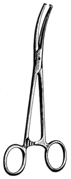 Maingot Hystraightectomy Forceps straight