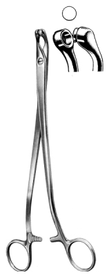 Thomas Gaylor Biopsy Forceps S/J 24cm