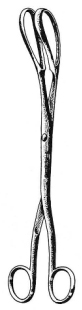 Corey Greenhalgh Ovum Forceps S/J 24cm