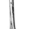 Winter Placenta Forceps 28cm