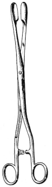 Winter Placenta Forceps 28cm