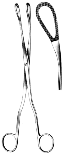 McClintock Ovum Forceps Curved 24cm
