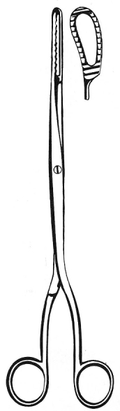 Bierer Ovum Forceps coarse thread 14mm, 28cm