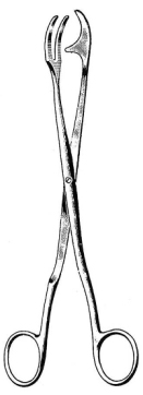 Rogge Sterilizing Forceps 23cm