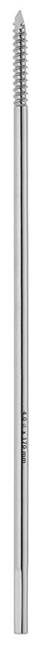 Schanz Screws (with Trocar Point and Triangular Shaft)