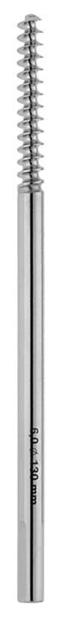 Cortical Screws shaft 6mm drill 4.8mm