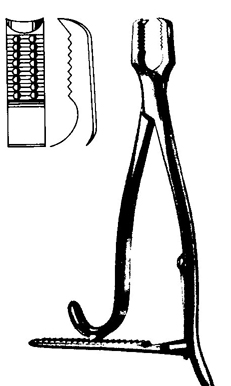 Kern Bone Holding Forceps
