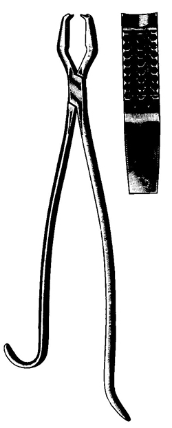 Lane Bone Holding Forceps