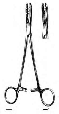 Bircher-Ganske Bone Holding Forceps