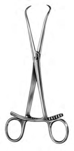 Bone Holding Forceps