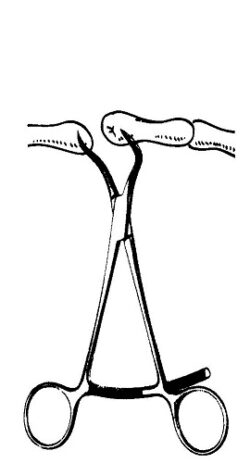 Bone Holding Forceps