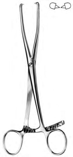 Bone Holding Forceps