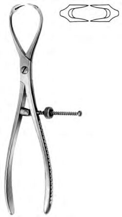 Bone Holding Forceps