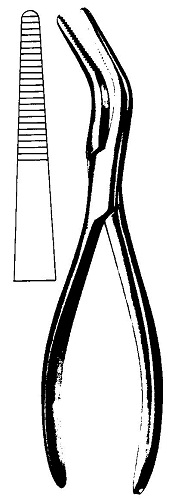 Van Buren Bone Holding Forceps