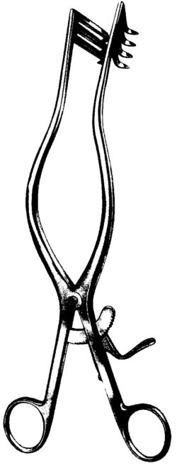 Adson Retractor