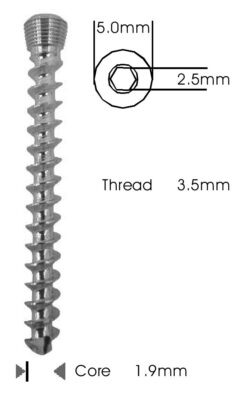 Cancellous Safety Lock (LCP) Screw 3.5mm Self Tapping