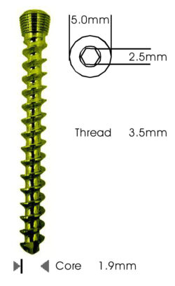 Cancellous Safety Lock (LCP) Screw 3.5mm Self Tapping Titanium