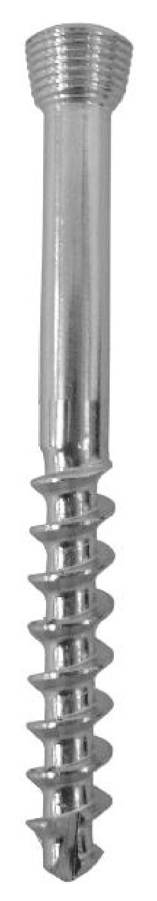 Cancellous Safety Lock (LCP) Screw 5.0mm 32mm Threads