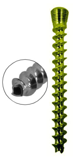 Cannulated Cancellous Safety Lock (LCP) Screw 5.0mm Full Threads Titanium