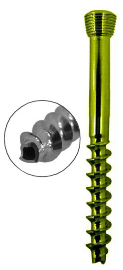 Cannulated Cancellous Safety Lock (LCP) Screw 5.0mm 32mm Threads Titanium